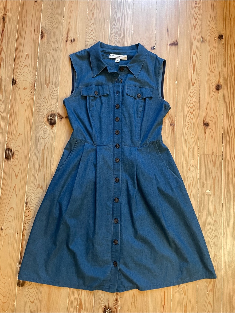 Sleeveless Button-Front Blue Denim Dress - Birds of North America